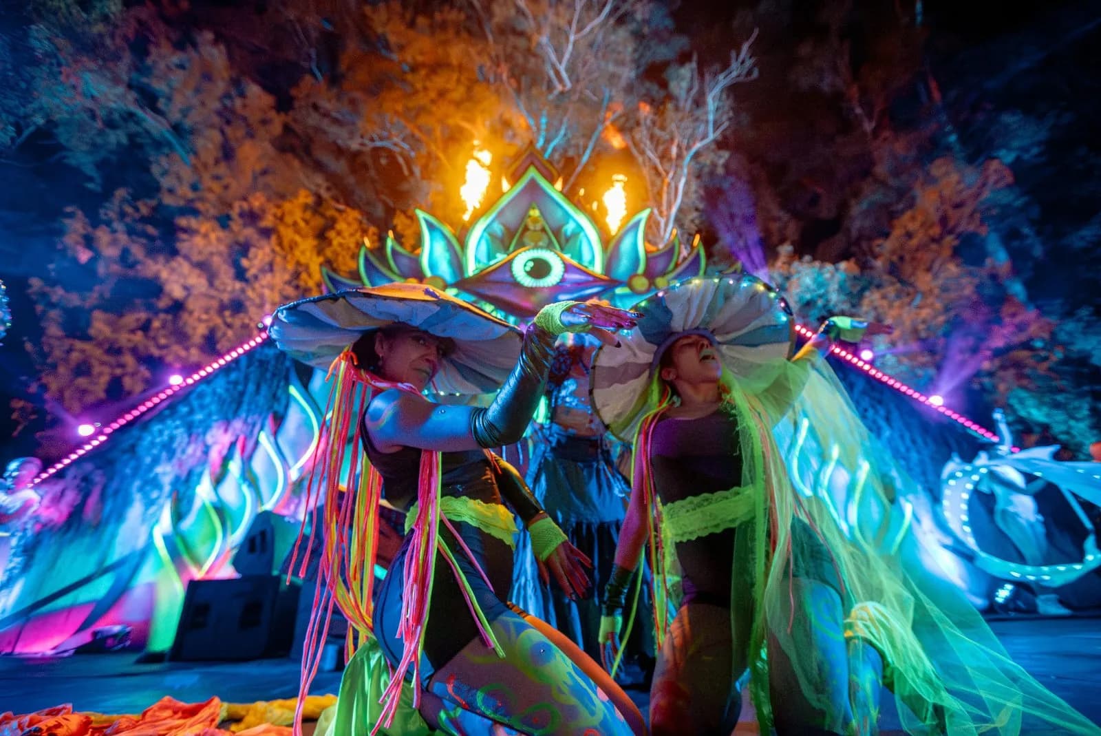 House of Amazonas