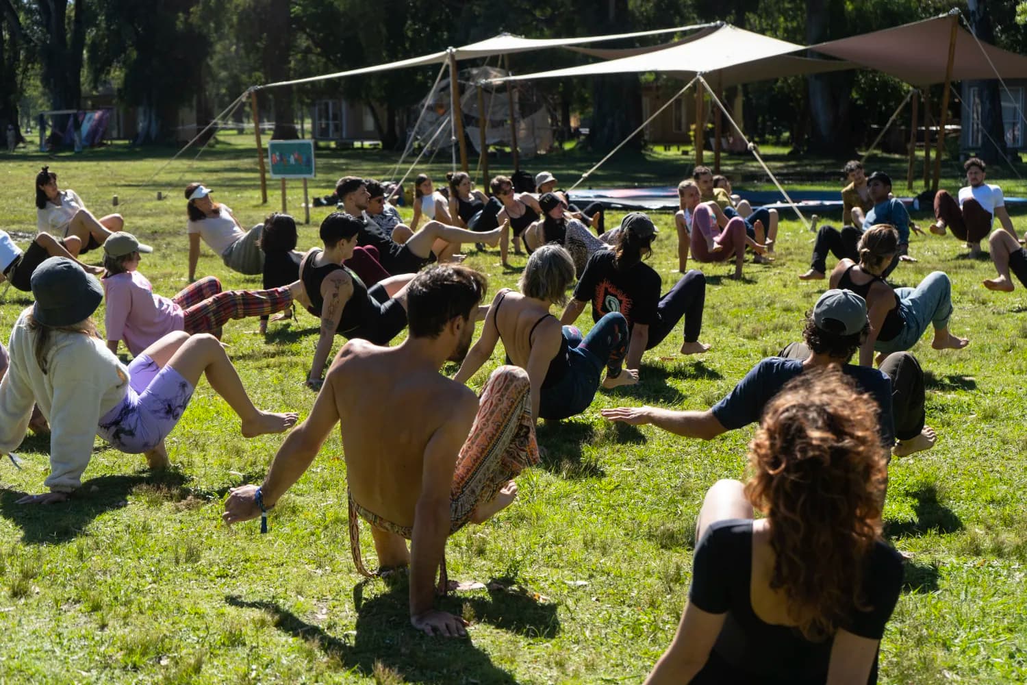 Acrolandia en Amanita