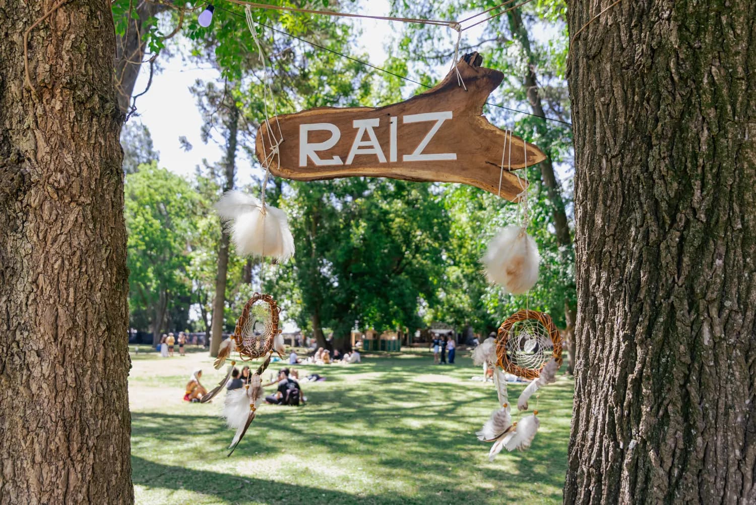 Raíz en Amanita
